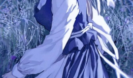 动漫蓝,探寻动漫世界的无尽魅力