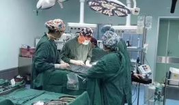 人流手术视频,真实视频解析