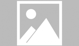 91网红鹿少女直播间,网红魅力绽放，互动狂欢盛宴